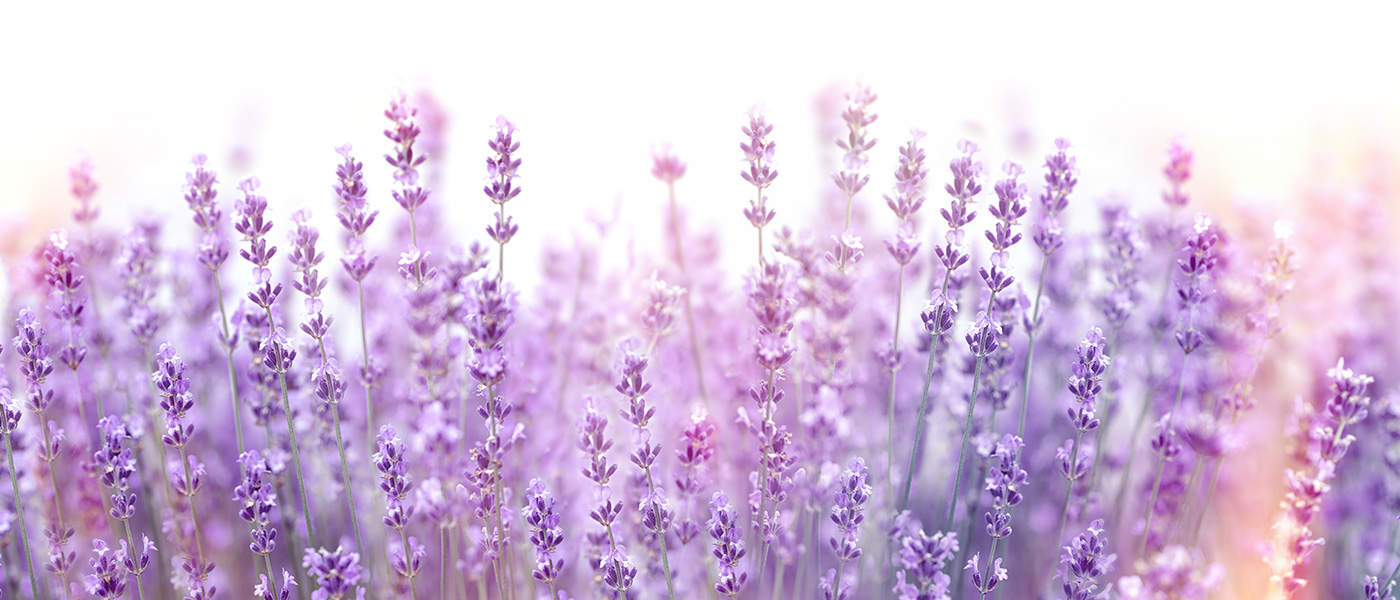 魂の鑑定書＆エネルギーCS60【サロン叶（かのう）】